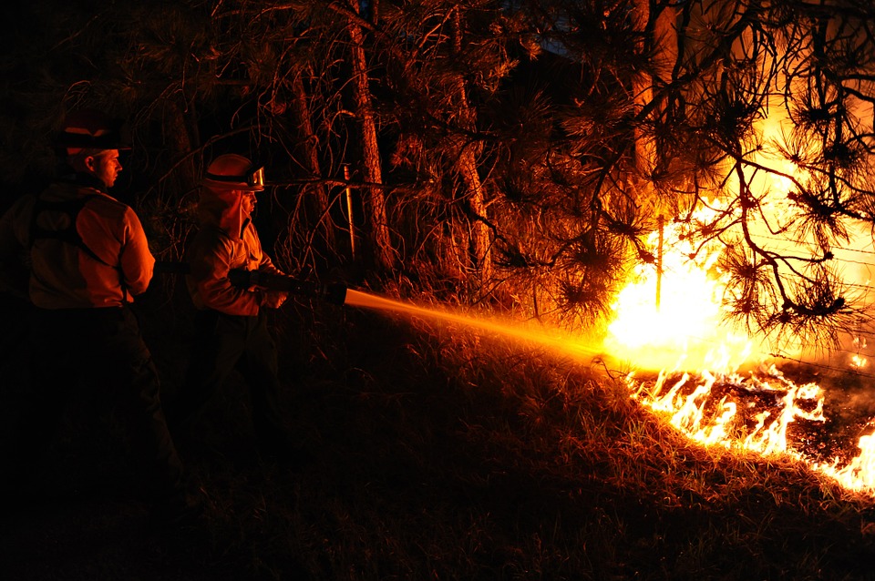 Prevenzione incendi boschivi